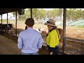 Why study agribusiness at UQ