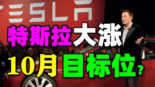 【股神炒股绝技】特斯拉大涨，10月目标位是多少？｜JohnLu谈股 @johnlutalkstock