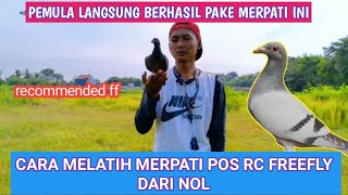 CARA MELATIH MERPATI POS RC FREE FLY DARI AWAL SAMPAI FREE FLY LANCAR‼️MUDAH PEMULA PASTI BISA‼️