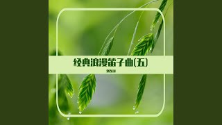 痴情冢 (笛子曲)