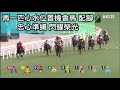 🔹 賽馬貼士 🔹16 12日 r7一匹全晚鋼膽 單q 贏錢必備🔥上次錶次未來狂勝 今次邊隻⁉️未出賠率先揀馬❗️