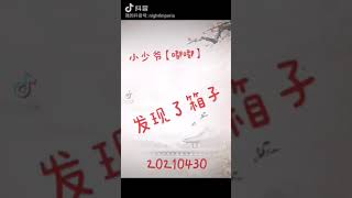 小少爺【嘟嘟】的生活日記 (四十九) - 西施犬