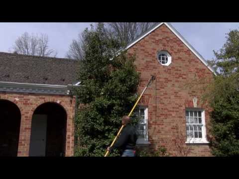 In the Garden - Pruning Holly Shrubs In the Garden - Pruning Holly Shrubs