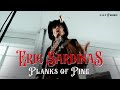ERIC SARDINAS 'PLANKS OF PINE' - Official Video