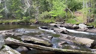 Ducktrap River Alewife Run