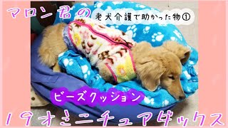 老犬寝たきり介護　あって良かったもの①19年7カ月21日の犬生 ミニチュアダックスのマロン君