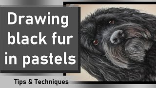 HOW TO DRAW BLACK FUR IN PASTELS | SOFT, WAVY FUR | VOICE OVER