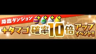 【高速周回編成】ヘラ・ソエル降臨！耀冥妃 超地獄級 降臨+10倍 制約と誓約・ゴン＝フリークス Puzzle \u0026 Dragon パズドラ 龍族拼圖 無課金日記