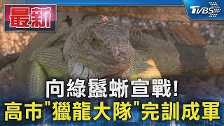 向綠鬣蜥宣戰! 高市「獵龍大隊」完訓成軍｜TVBS新聞 @TVBSNEWS01