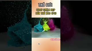 Thế giới của Quay Chậm đẹp đến thế nào P2 ? #shorts #fast #kienthuc #kienthucthuvi