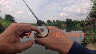 【アブガルシア・モラム】【埼玉バス釣り動画】酷暑の夏休み！荒川バスを何とかゲット！