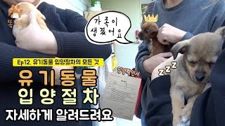 Ep.12 유기동물 입양절차의 모든 것