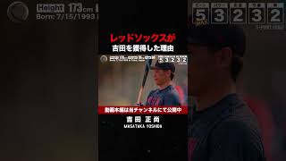 吉田正尚がレッドソックスに入団できた理由 #shorts  #mlb #野球 #メジャーリーグ #baseball