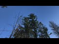 Trees falling down at UBC during the 45+ kts wind storm of December 20, 2018