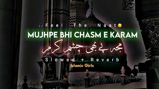 Mujh Pe Bhi Chashme Karam | Ghulam Mustafa Qadri | Slowed And Reverb Naat | Lofi Naat |Trending Naat