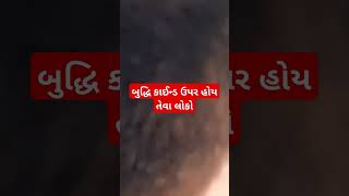 બુદ્ધિ વગર રસ થઈ ગઈ તેવા લોકો