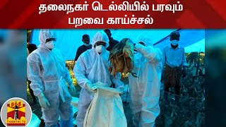 தலைநகர் டெல்லியில் பரவும் பறவை காய்ச்சல் | Delhi | Bird Flu