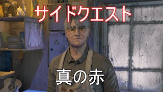 【ナイトメア攻略】　サイドクエスト「真の赤」