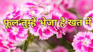 Phool Tumhe Bheja hai Khat Mein | Phool Tumhen Bheja hai Khat Mein | फूल तुम्हें भेजा है खत में| C23