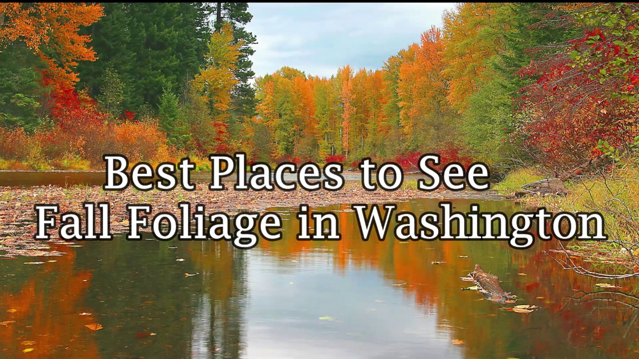 Best Places To See Fall Foliage In Washington State - YouTube