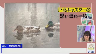 【初日のみーちゃんが映る】ちょっと待ってちょっと待ってホントにダメ！2022年11月3日