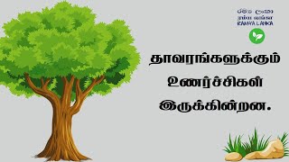 மனித உணர்வுகளைப் புரிந்துகொள்ளும் தாவரங்கள்