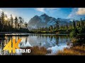 Relaxing Music,Meditation, Sleep Music, Healing, Calm Music, Relax, Yoga, Sleep, Study,Stress Relief