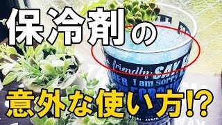 【衝撃】 保冷剤の便利で意外な活用法！？ 冷やすだけじゃない知って得する エコアイディア！