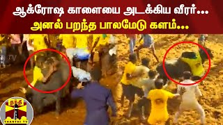 ஆக்ரோஷ காளையை அடக்கிய வீரர்... அனல் பறந்த பாலமேடு களம்... | Palamedu | Jallikattu