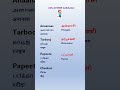 பழங்களின் இந்தி பெயர்களை தமிழில் கற்றல்|தமிழில் இந்தி பேசப்படும்|jollya hindi words kathukalaamaa
