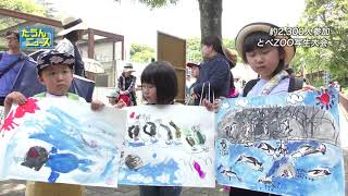 【4K】たうんニュース2018年5月「とべ動物園写生大会」