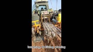 sugarcane planting machine tractor driven whole sugarcane planter Giant fungus grass planter