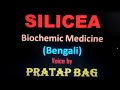 silicea ।। সাইলিসিয়া