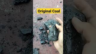 Original Coal From Indonesia #shorts #coal