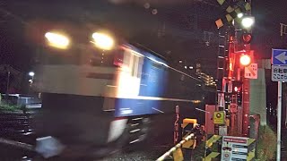 【2022/06/19 0:14頃･深夜の東海道線を走る貨物列車】3070ﾚ(西浜松→札幌タ EF65 2089牽引･鮪コンテナあり ※所定EF210牽引)