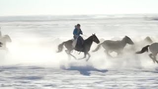 Naadam fair featuring horse racing, photography held in Inner Mongolia