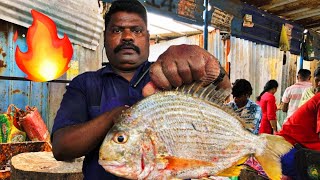 KASIMEDU SELVAM🔥MONSTER MATTIVAN🐟FISH CUTTING VIDEO💥 #kasimeduselvam #fishcutting #youtubeshorts