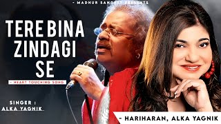 Tere Bina Zindagi Se Koi Shikwa To Nahi - Alka Yagnik | Hariharan, Rahul Dev | Dil Vil Pyar Vyar