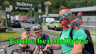 Mit einer Taube beim Mc Drive |Fufi die zahme Taube