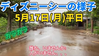 ディズニーランド・ディズニーシー2021年5月17日の様子！虹が出た！本当のパークの混雑状況は？bbbのエントリー確率は？ソアリンは？ディズニーチケット・東京ディズニーランド・TDR・bgm・再販