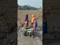 আপনি এভাবে মাছ ধরছেন কখনো funny viralvideo fishing