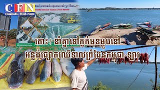 តោះ! នាំគ្នាទៅភ្លក់មុខម្ហូបនៅអន្លង់ផ្សោតឈើទាលព្រំដែនកម្ពុជា-ឡាវ | CFN TV (បទយកការណ៍) 31-12-22