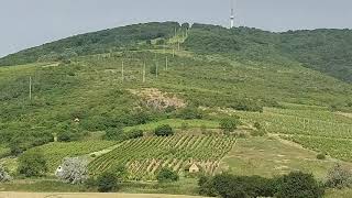 Tokaj-hegy, az InterCity-ből. 2021.06.26. Full HD-video