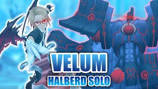 Solo Halberd Vs Velum Nightmare - Toram Online