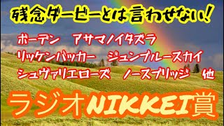 【ラジオNIKKEI賞/夏競馬】もう残念ダービーとは言わせない！秋に向けて超重要な一戦！今年は最高すぎるメンバーが集結！実馬券はどうなる！？【データとラップ理論】