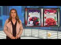 frozen berries sold at aldi recalled potential contaminated with hepatitis a