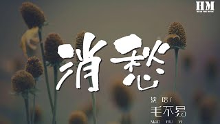 毛不易 - 消愁『你拿起酒杯對自己說』【動態歌詞Lyrics】