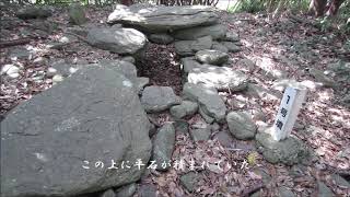 明神古墳群１（長島町）（鹿児島県）（後期）■Myoujin Tumuli 1(Kagoshima Pref.)