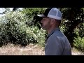 Caleb Hart - Feel The Breeze