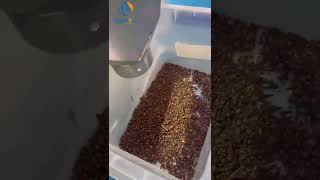 clove sorting machine color sorting machine  info@brihgtsail-asia.com